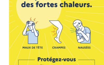 SPORT ET CANICULE